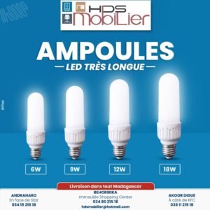 AMPOULE LED TRES LONGUE