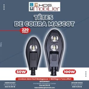 TETE DE COBRA LED 220VT