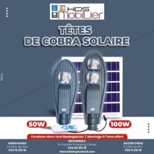 TETE DE COBRA SOLAIRE