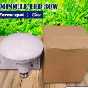 AMPOULE LED- SOUS FORME SPOT