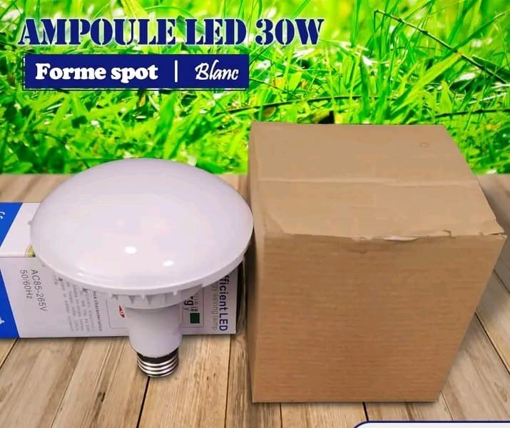 AMPOULE LED SOUS FORME SPOT