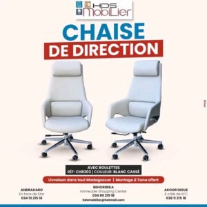 Chaise de direction