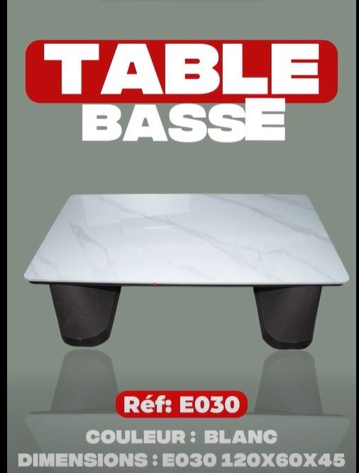 E030