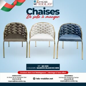 Chaise de salle à manger -WC 809